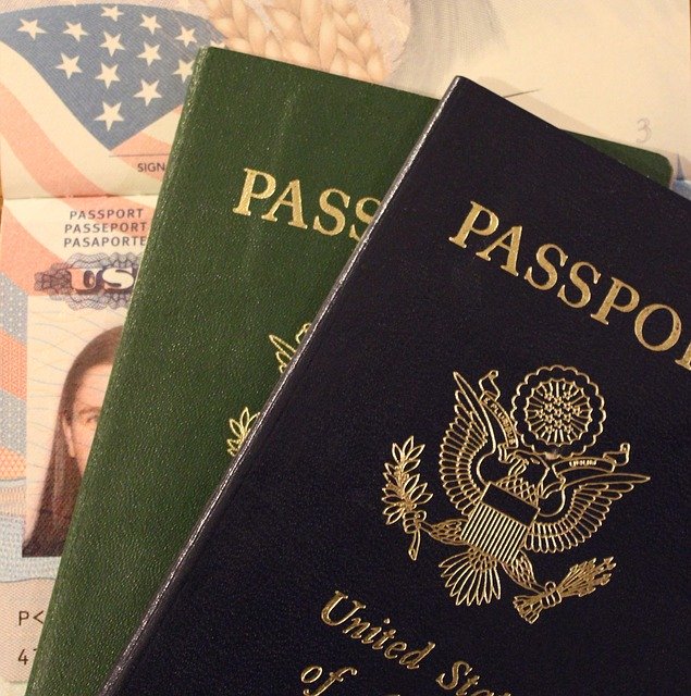 visas and green cards in hands of a person